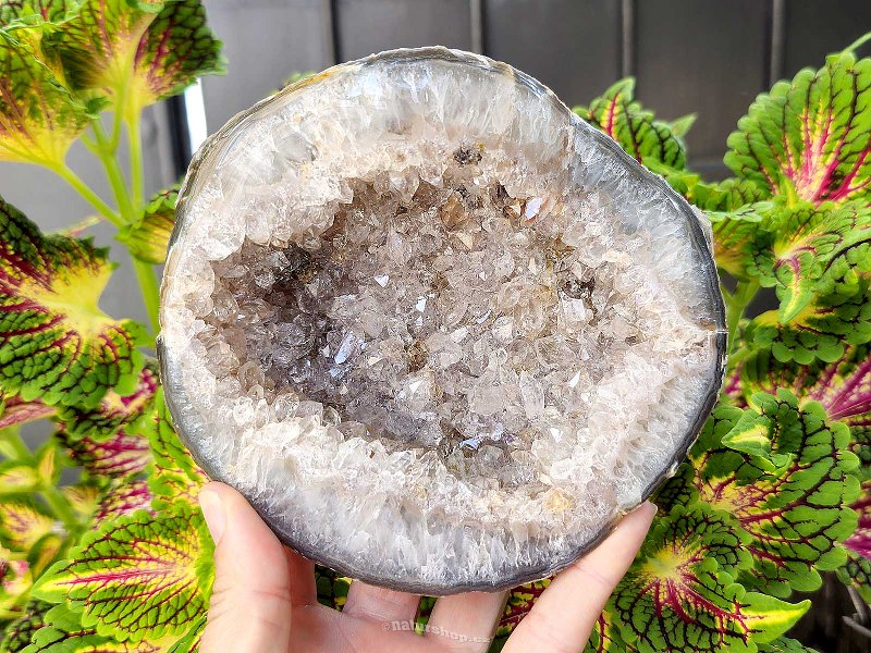 Agate + geode crystal (Brazil) 949g