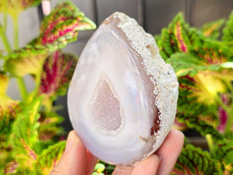 Geode gray agate with a hollow Brazil 250g