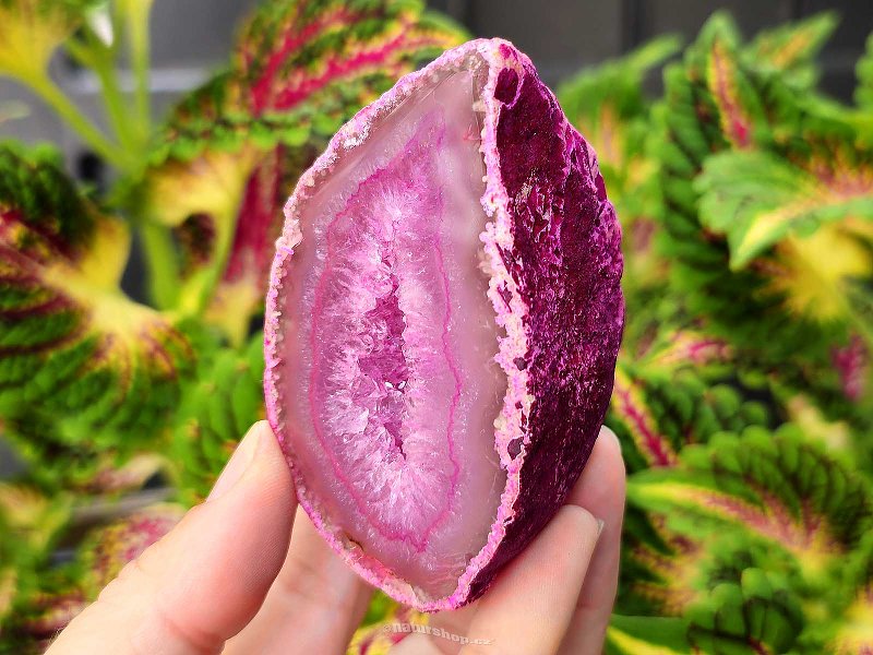 Agate geode with cavity dyed pink 159g from Brazil