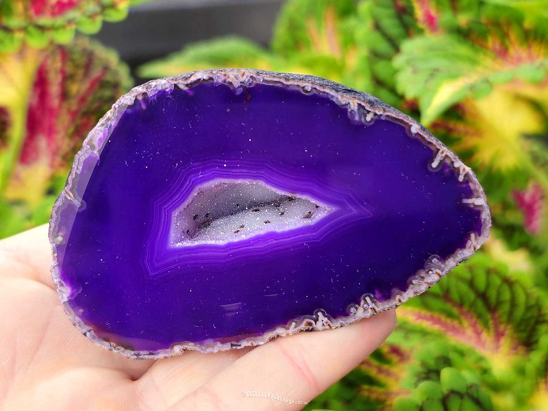 Agate geode with cavity dyed purple 169g from Brazil