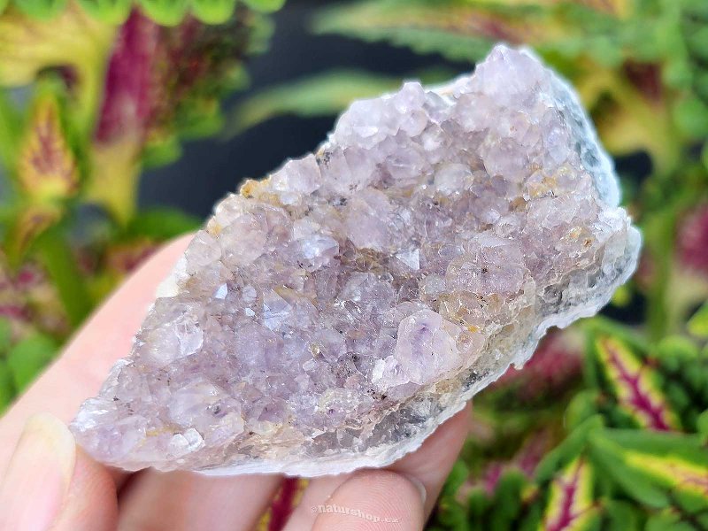 Amethyst druse (81g) Brazil