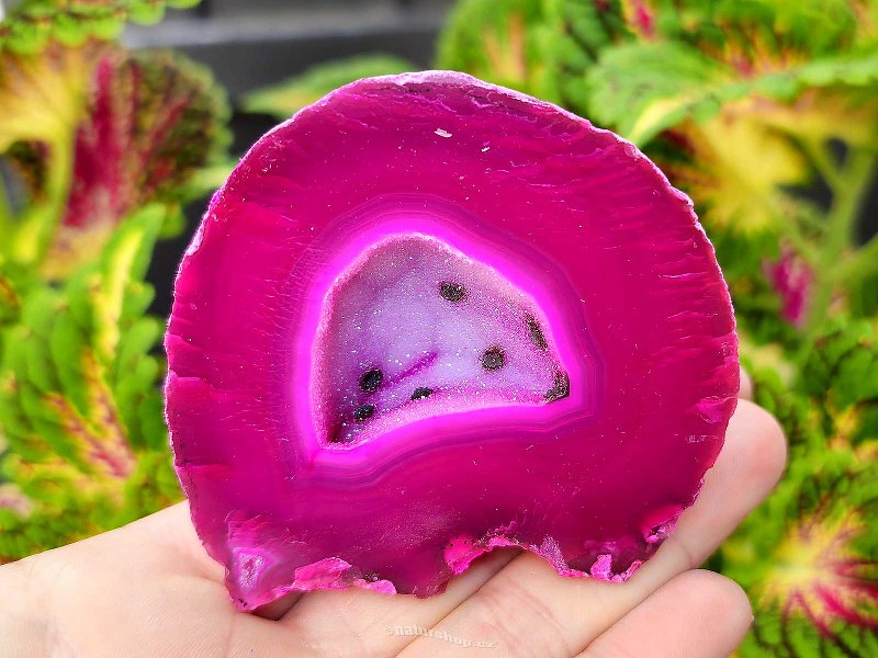 Agate pink dyed geode with cavity 179g