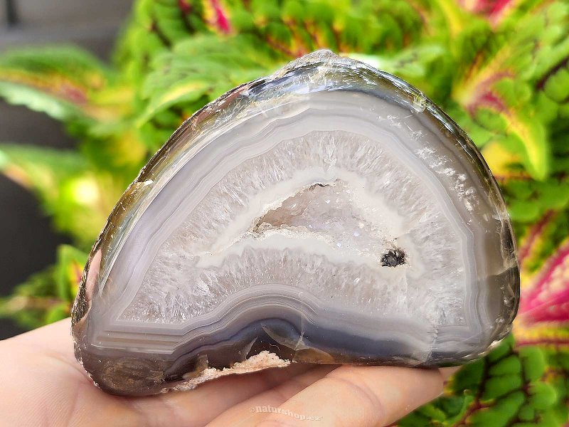 Geode gray agate with hollow Brazil 209g