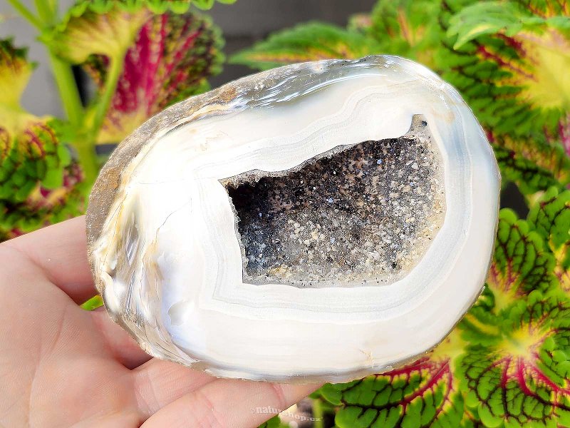 Agate geode (Brazil) 368g