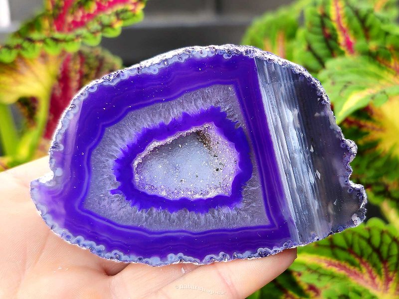 Agate geode with cavity dyed purple 200g from Brazil