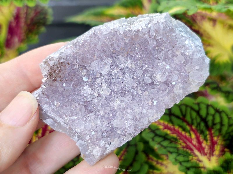 Amethyst druse 100g from Brazil