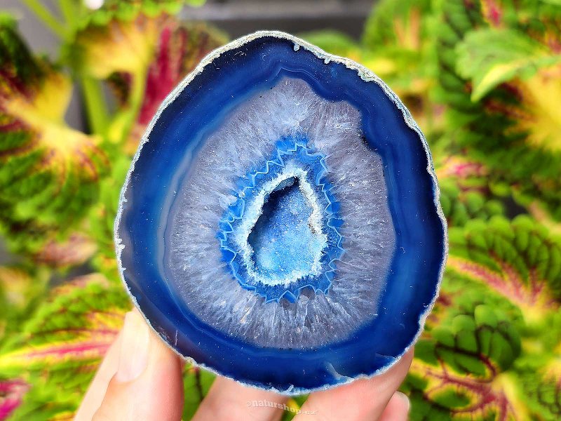 Agate blue dyed geode with cavity 222g