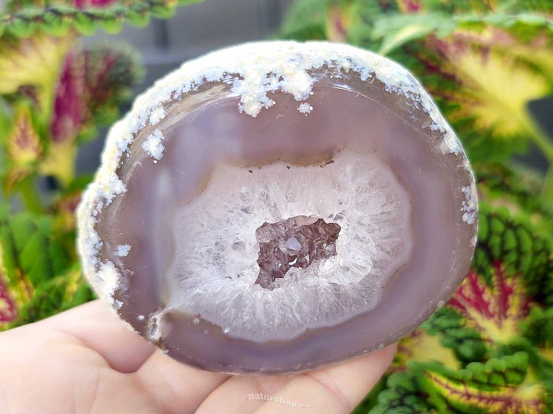 Gray agate geode with hollow 272g (Brazil)