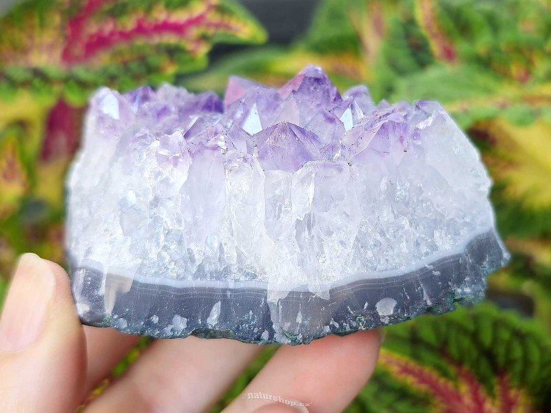 Amethyst druse 259g from Brazil