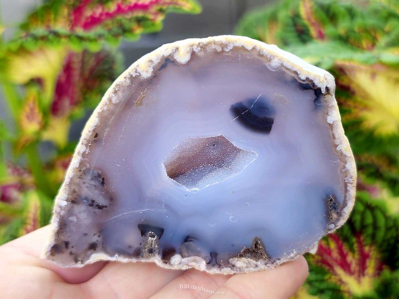 Gray agate geode with hollow 191g from Brazil