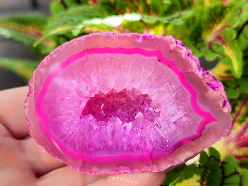 Agate geode with cavity dyed pink 167g from Brazil