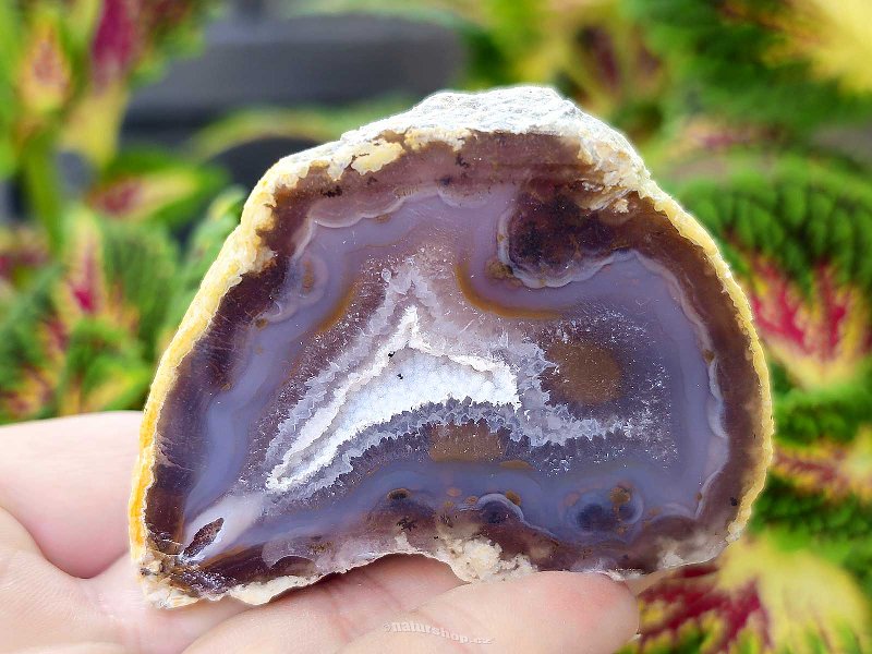 Agate gray geode with a hollow 158g from Brazil