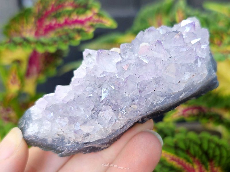 Amethyst druse 137g from Brazil