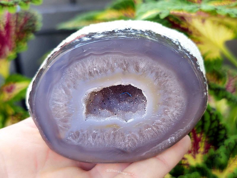 Agate gray geode with a hollow 260g from Brazil