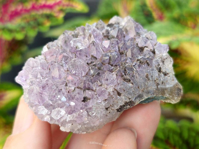 Amethyst druse 69g from Brazil