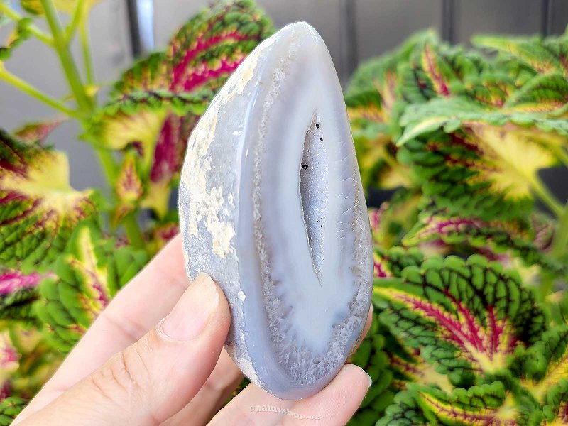 Agate gray geode with a hollow 244g from Brazil