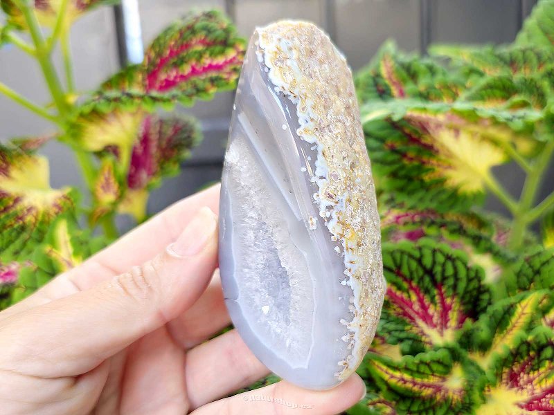 Gray agate geode with hollow 222g (Brazil)