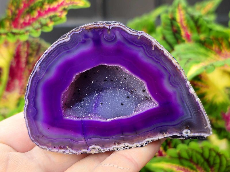 Agate geode with cavity dyed purple 168g from Brazil