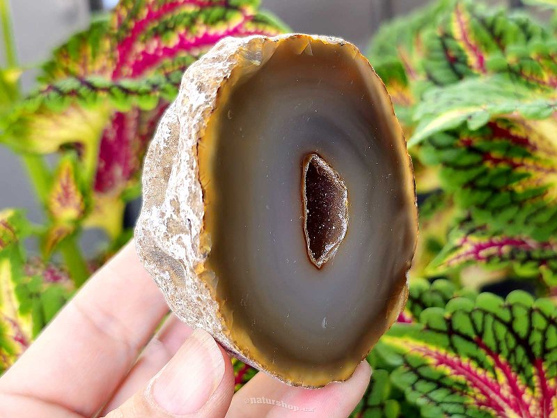 Brown agate geode with hollow 200g (Brazil)