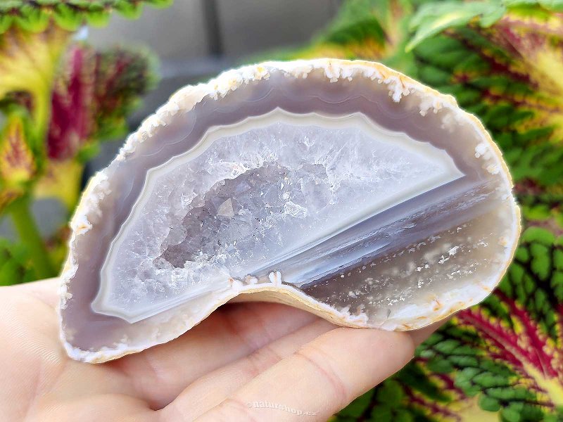 Agate gray geode with a hollow 170g from Brazil