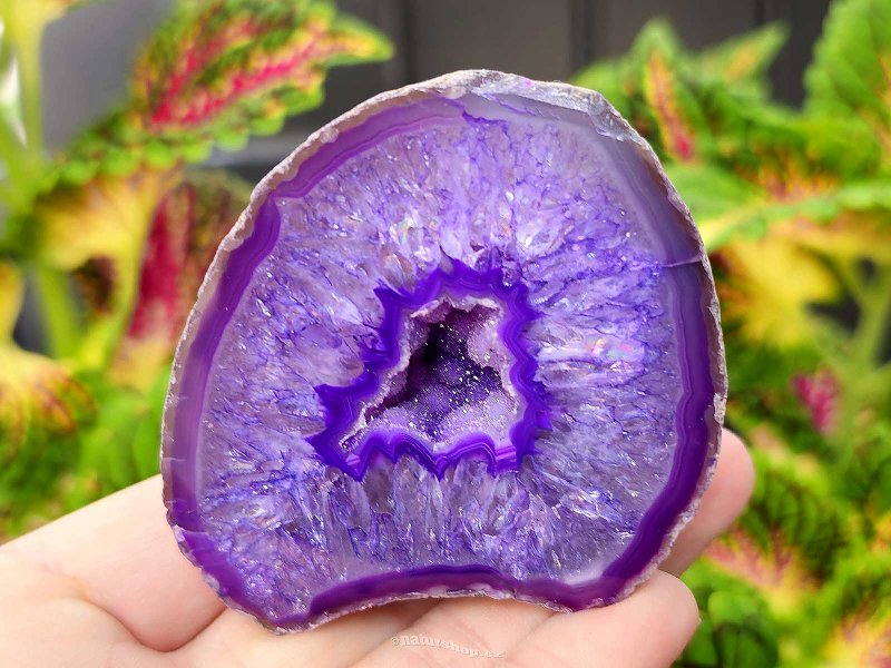 Agate geode with cavity dyed purple 178g from Brazil