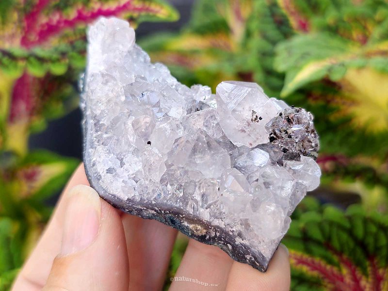 Amethyst druse 80g (Brazil)