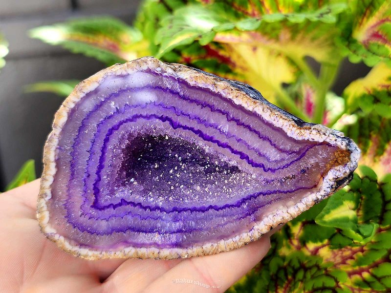 Agate geode with cavity dyed purple 180g