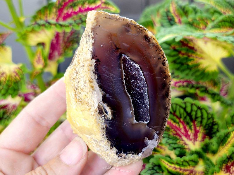 Gray agate geode with hollow 211g (Brazil)