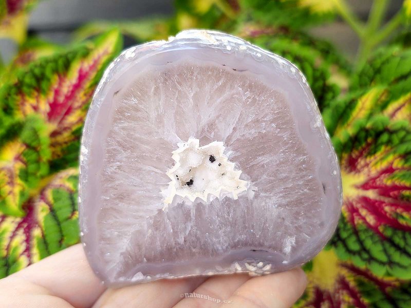 Gray agate geode with hollow 244g (Brazil)