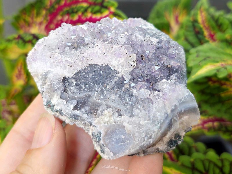 Amethyst druse (123g) from Brazil