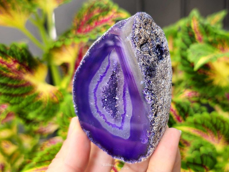 Agate geode with cavity dyed purple 181g