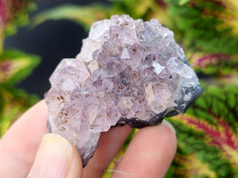 Amethyst druse 70g from Brazil