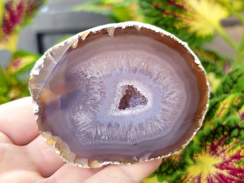 Gray agate geode with hollow 207g (Brazil)