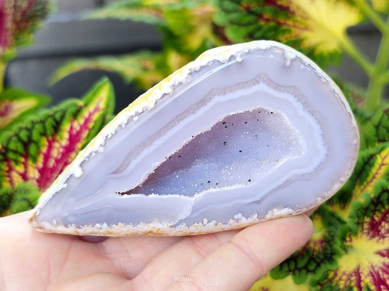 Gray agate geode with hollow 164g (Brazil)