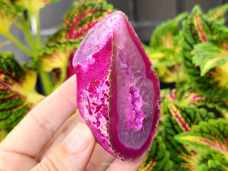 Agate geode with cavity dyed pink 152g from Brazil