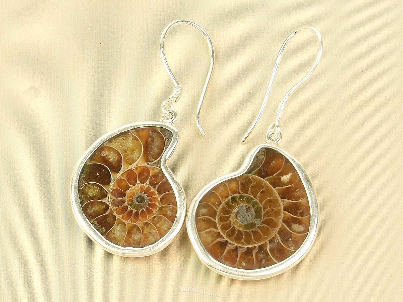 Ammonite earrings Ag 925/1000 5.7g