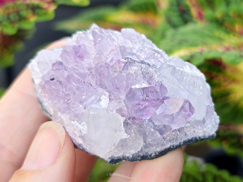 Amethyst druse 84g from Brazil