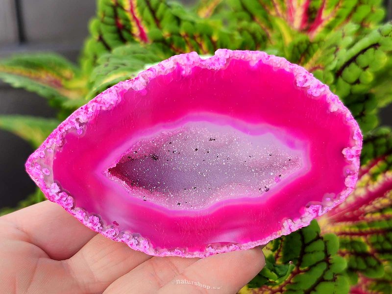 Agate geode with cavity dyed pink 158g from Brazil