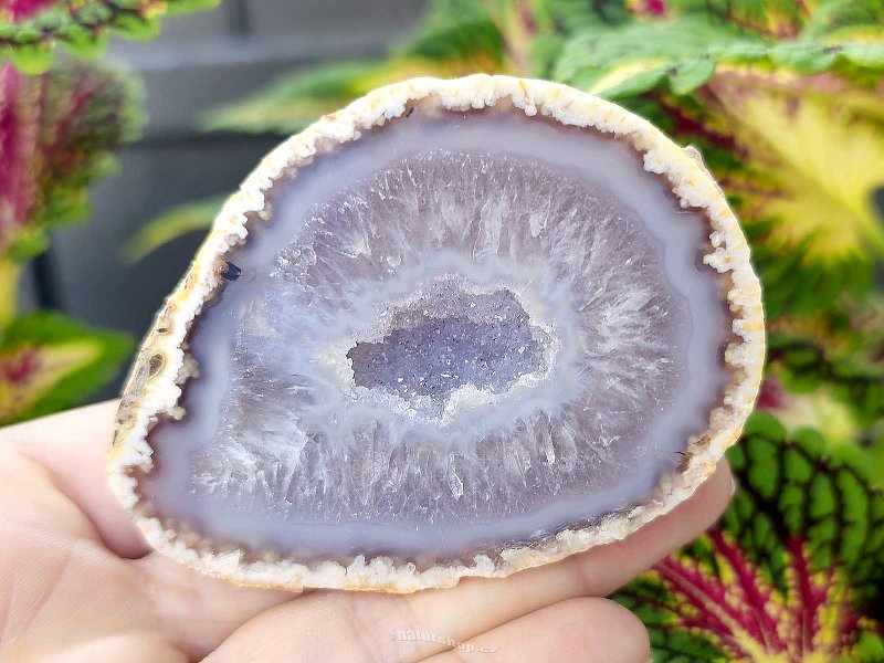 Gray agate geode with hollow 168g (Brazil)