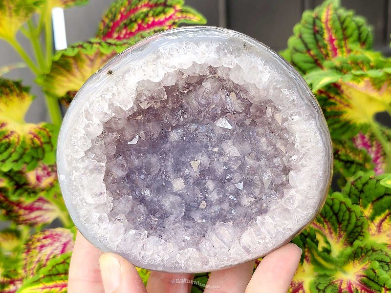 Agate geode 424g