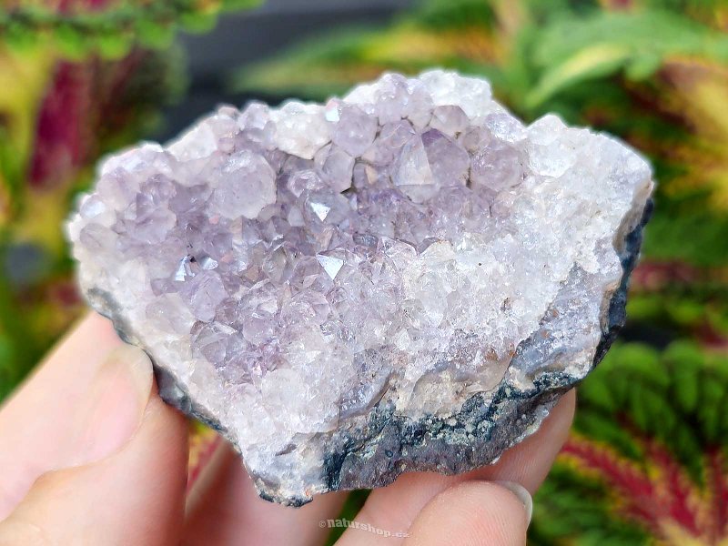 Amethyst druse 71g (Brazil)