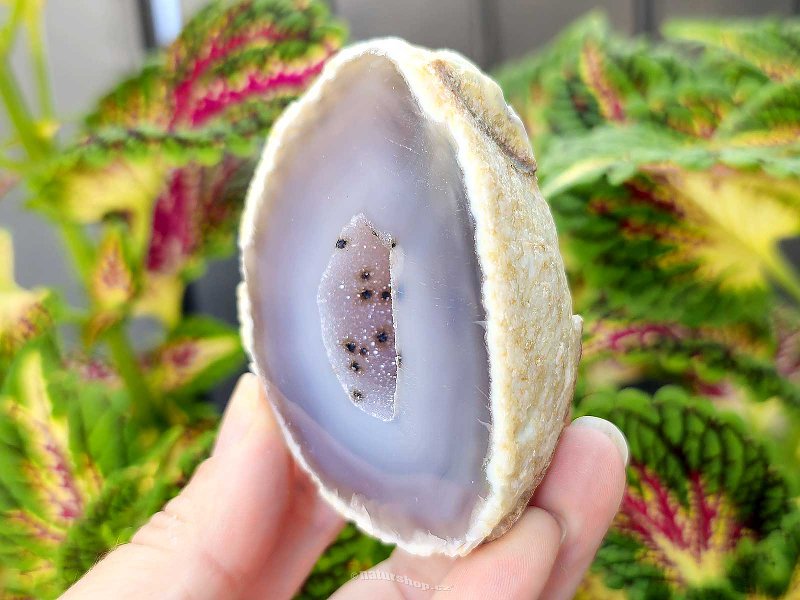 Gray agate geode with hollow 170g (Brazil)