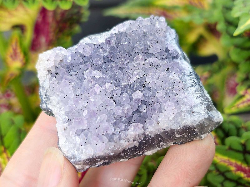 Amethyst druse (91g) Brazil