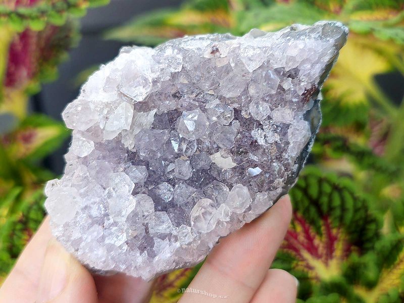 Amethyst druse (112g) from Brazil