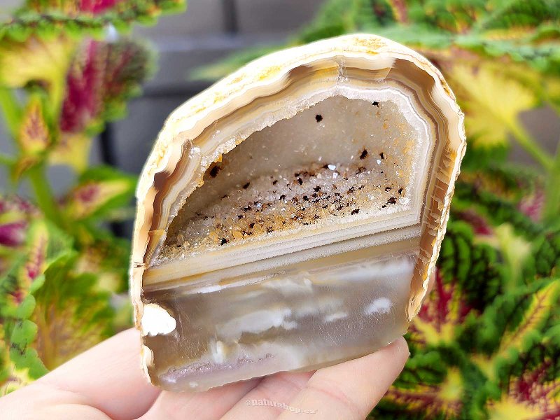 Brown agate geode with hollow 205g (Brazil)