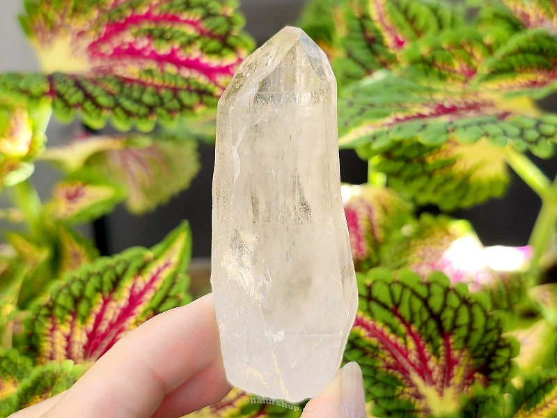 Crystal crystal natural from Brazil 77g