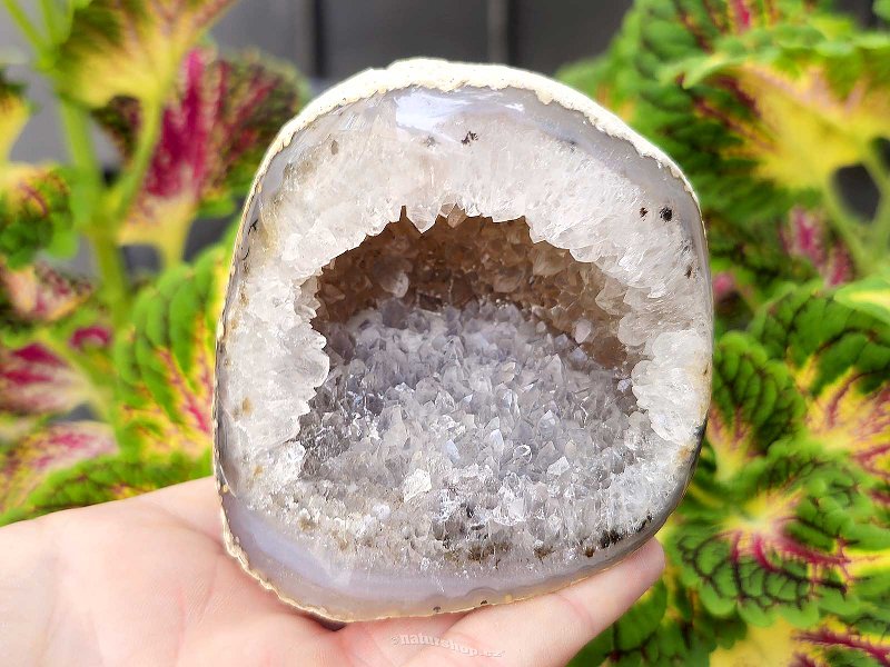 Agate and crystal geode (Brazil) 318g