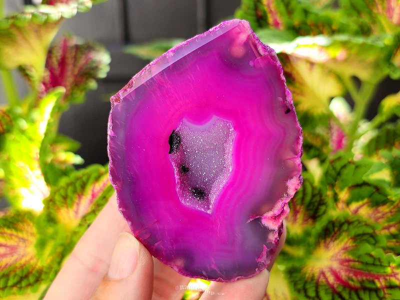 Agate geode with cavity dyed pink 174g from Brazil