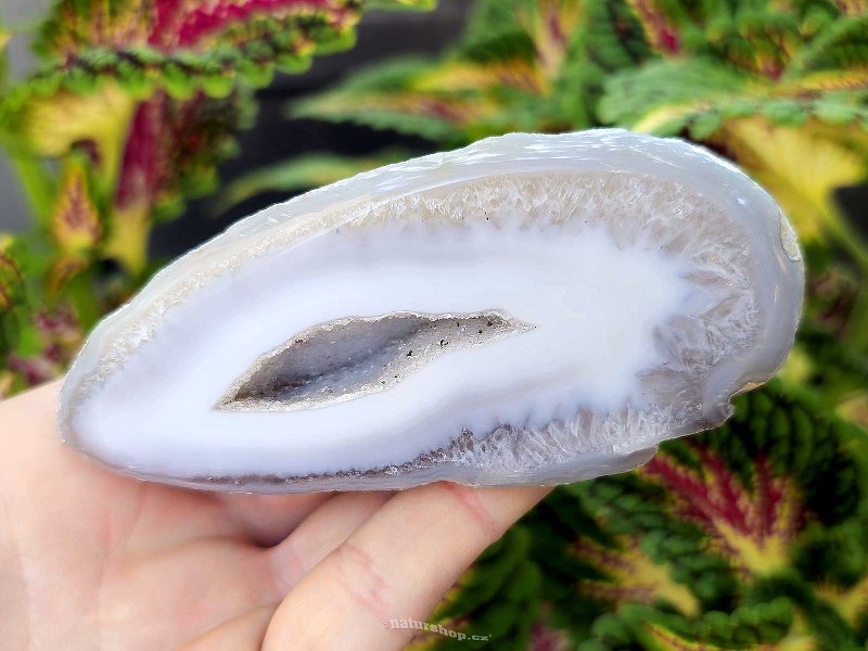 Agate gray geode with a hollow 293g from Brazil