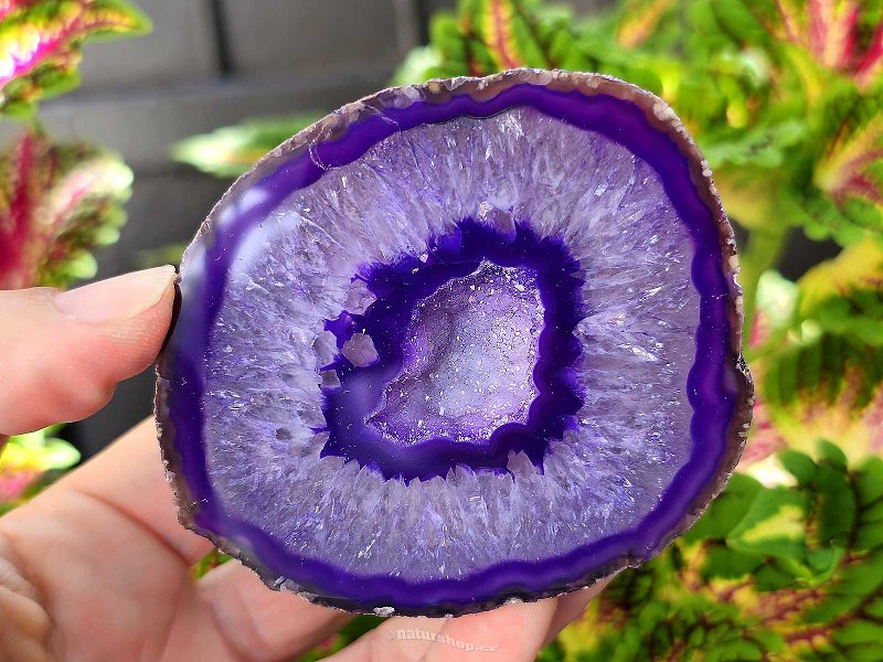 Agate geode with cavity dyed purple 219g